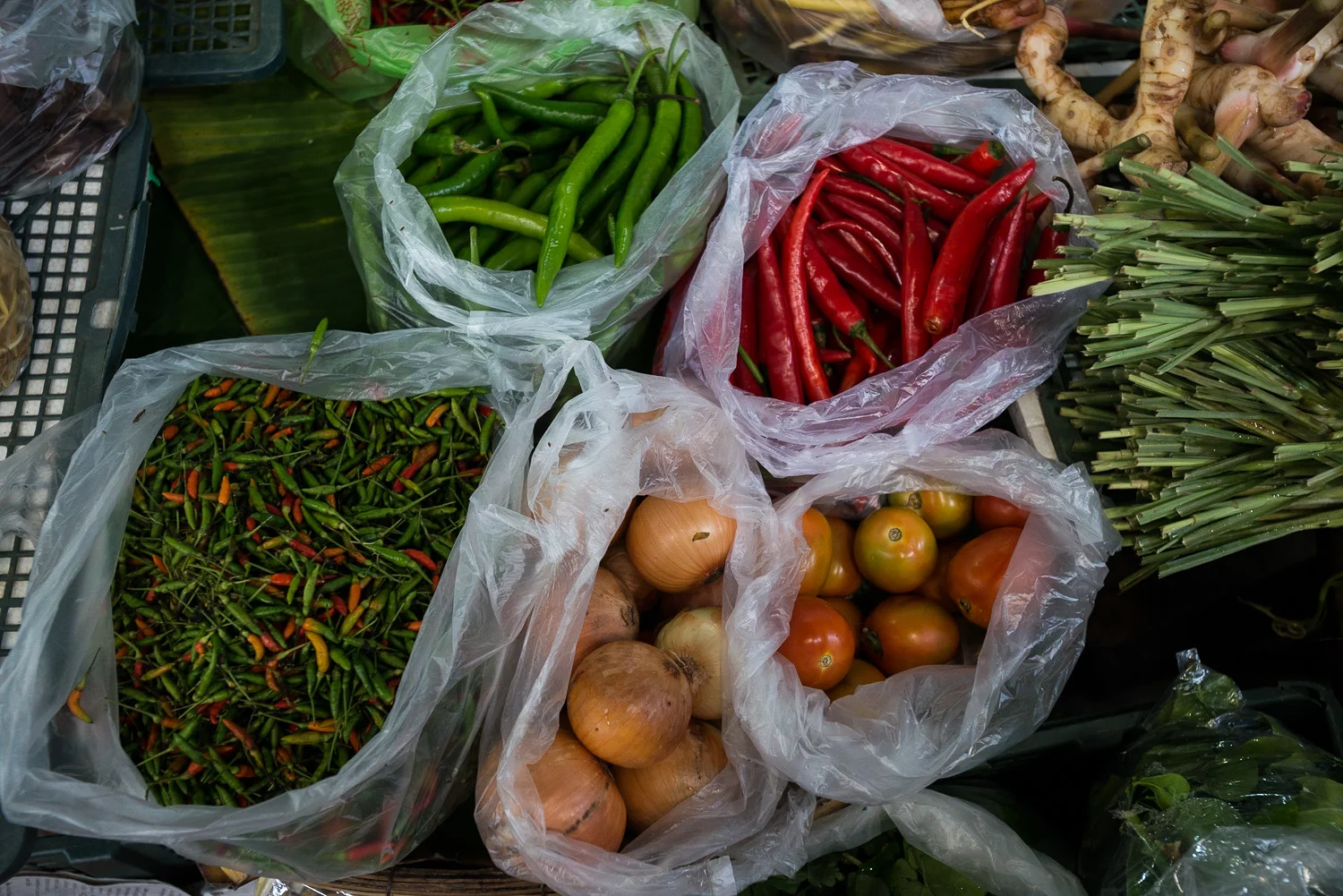 Thailand-12.jpg