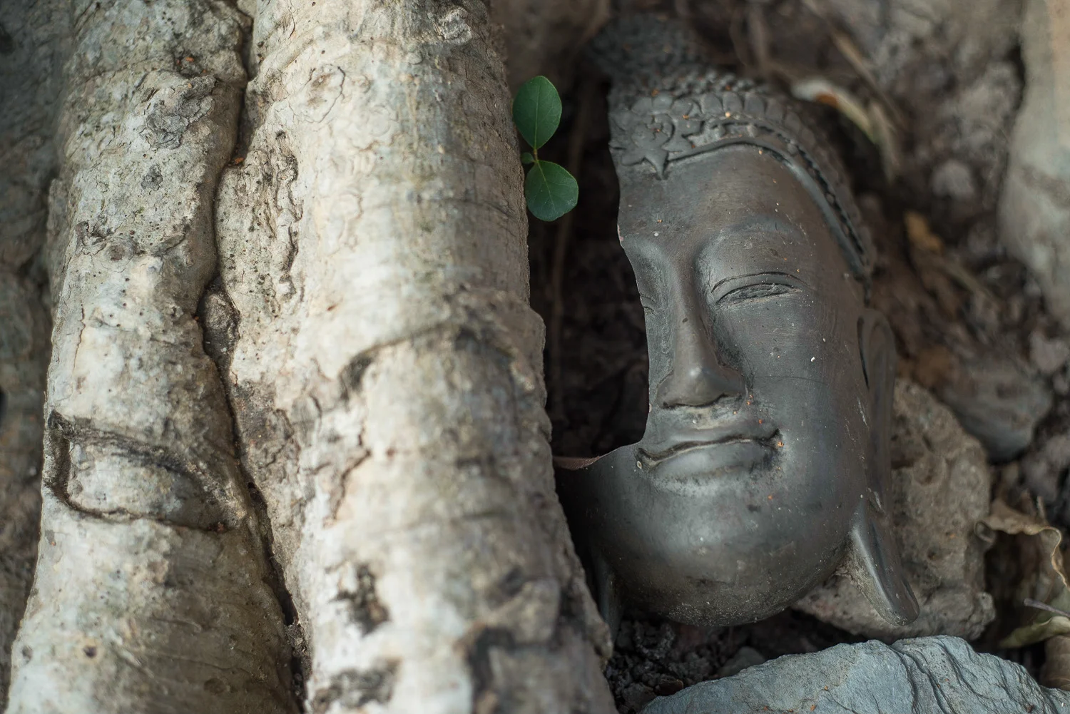 Thailand-47.jpg