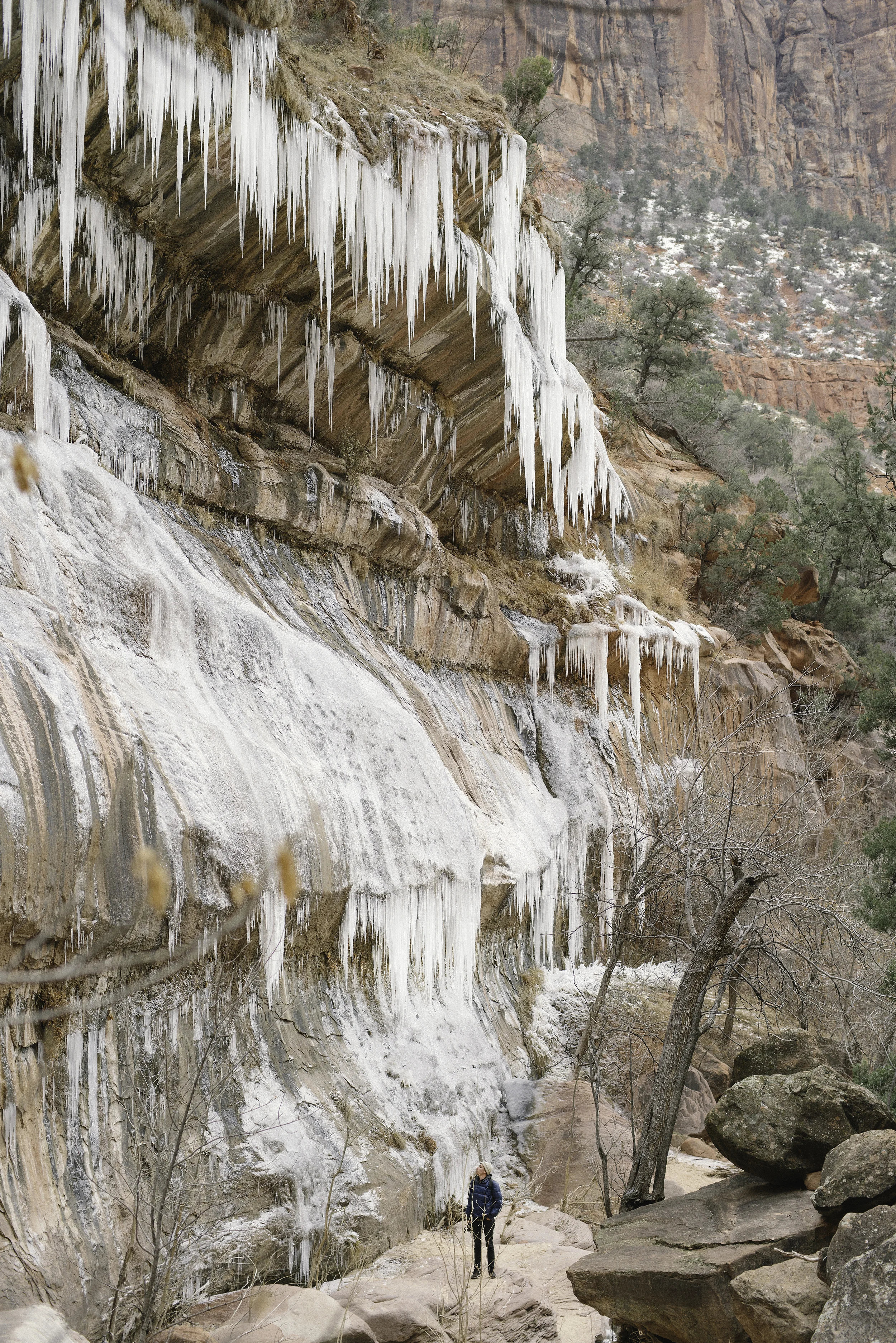 Spencer in awe of the frozen waterfalls of Zion National Park 