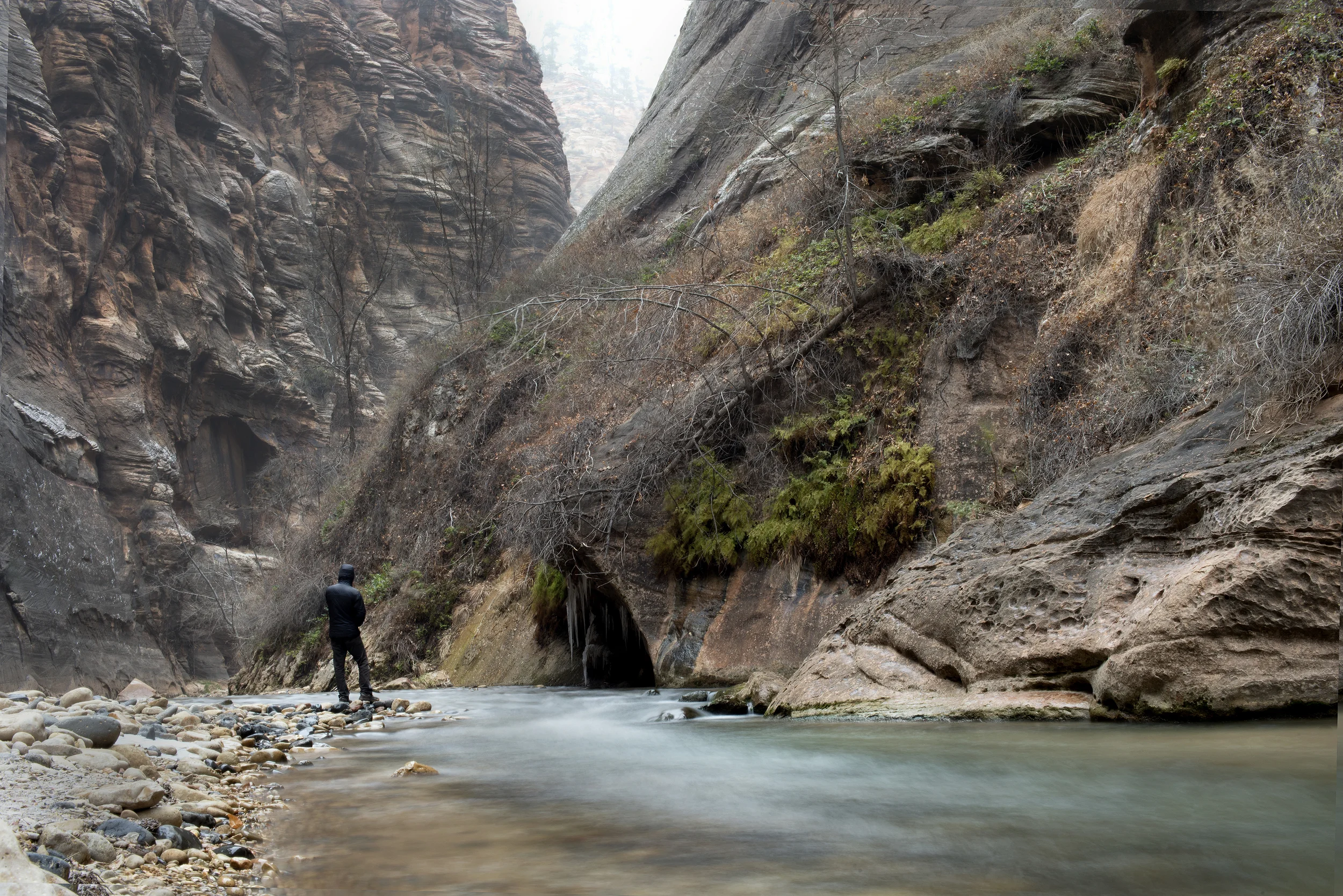 Colin looking off into the deep valleys of Zion National Park 
