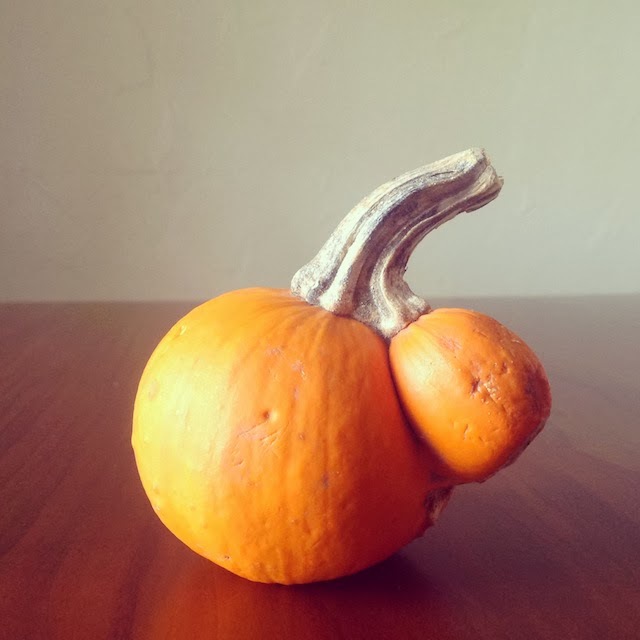 pumpkins.JPG