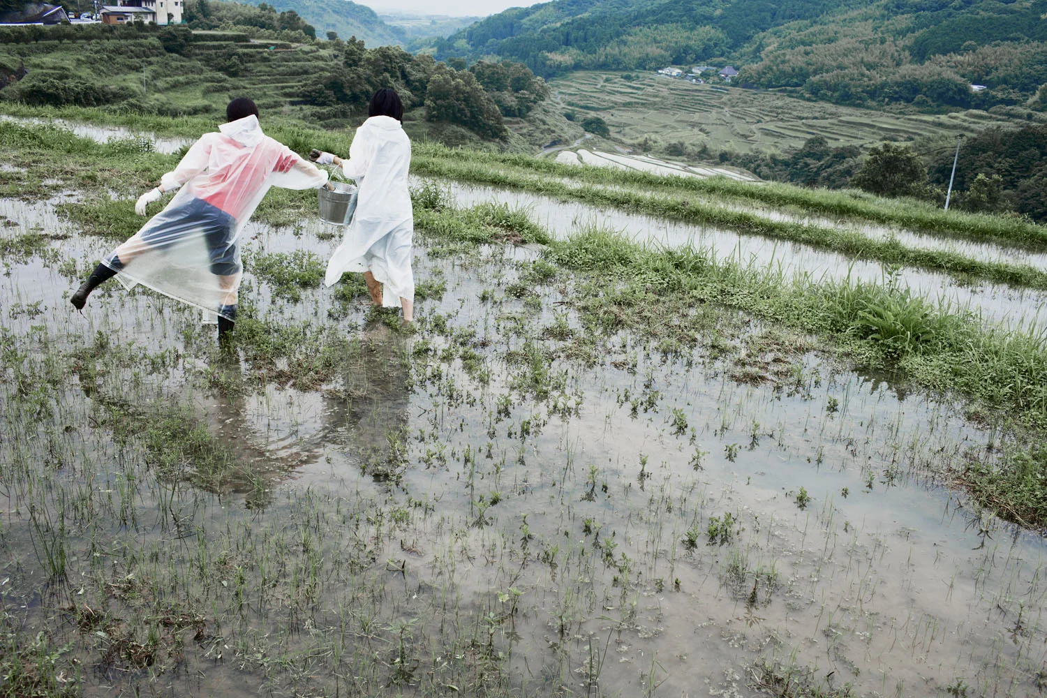 Cultivation of a New Skin