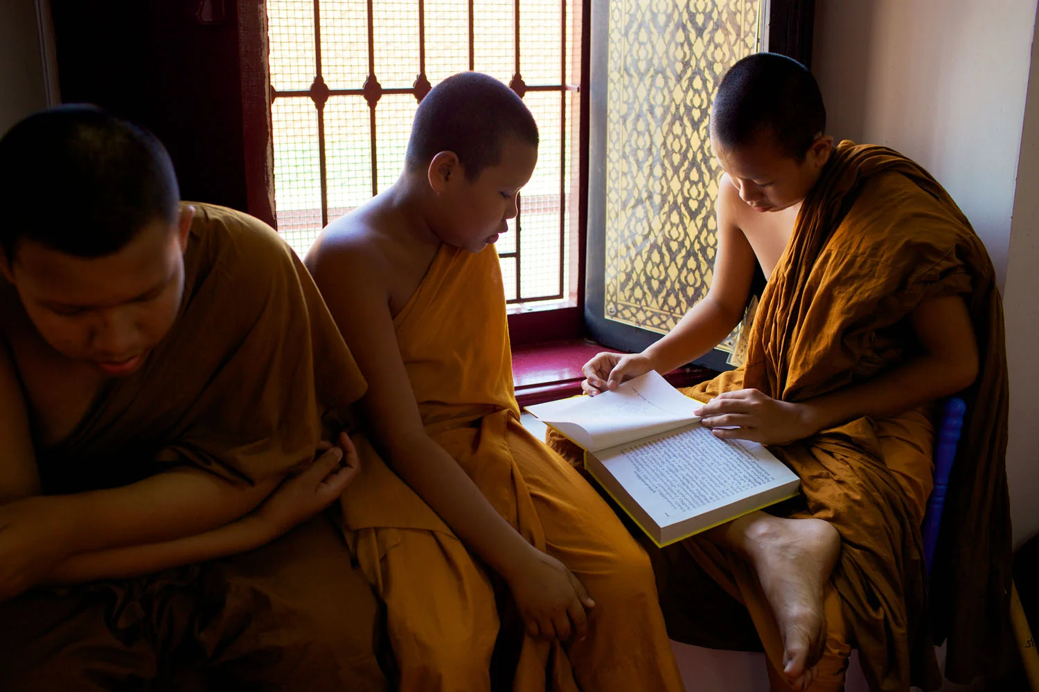 Cultivation of a New Skin