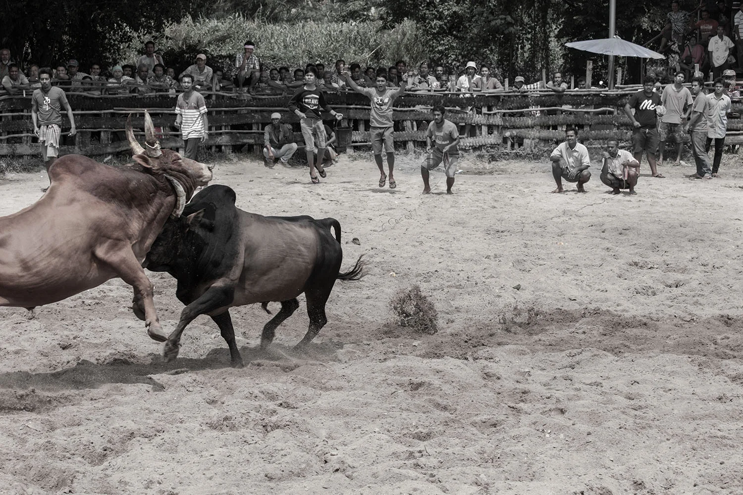 20150626_MG_1053.jpg
