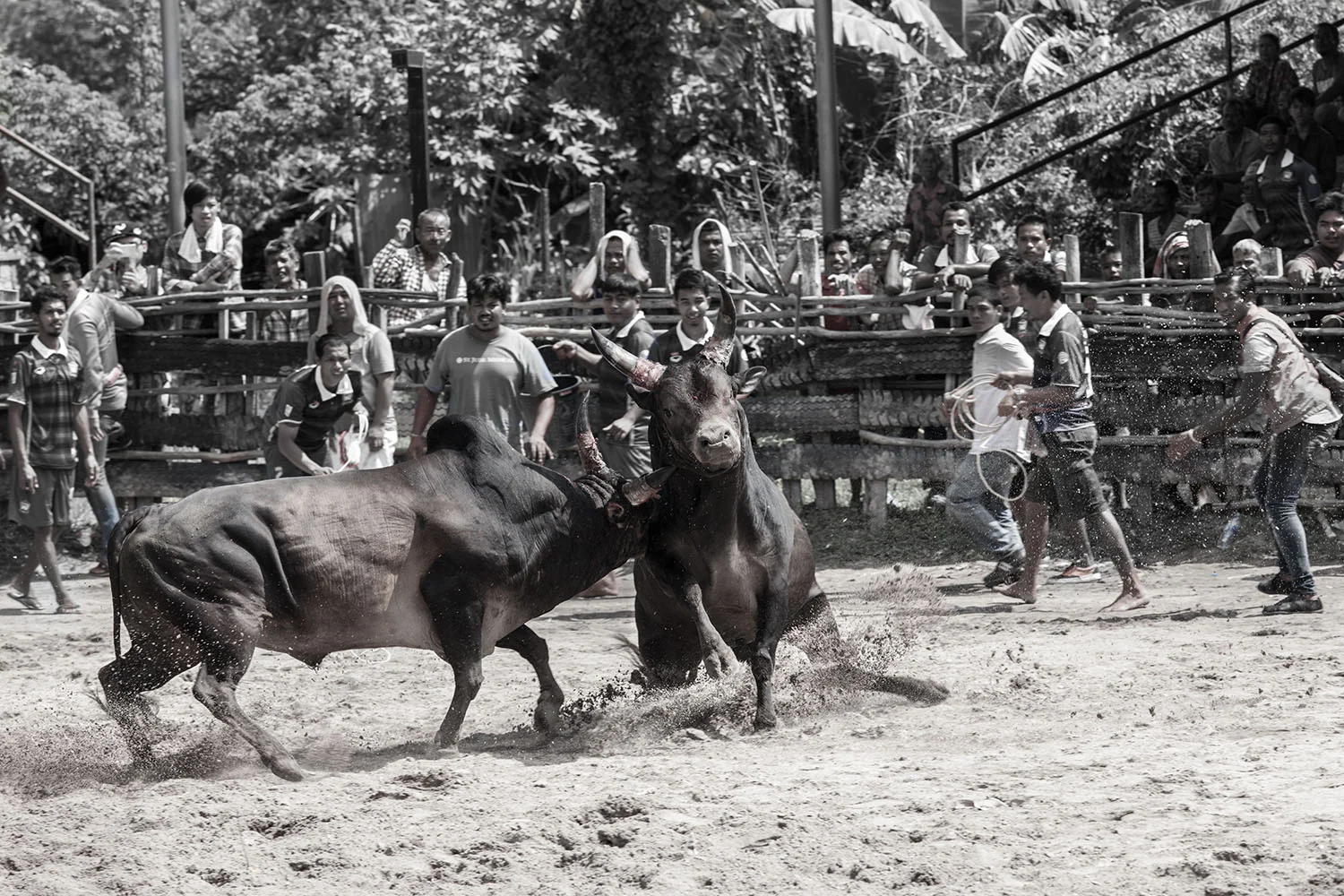 20150726_MG_5871.jpg