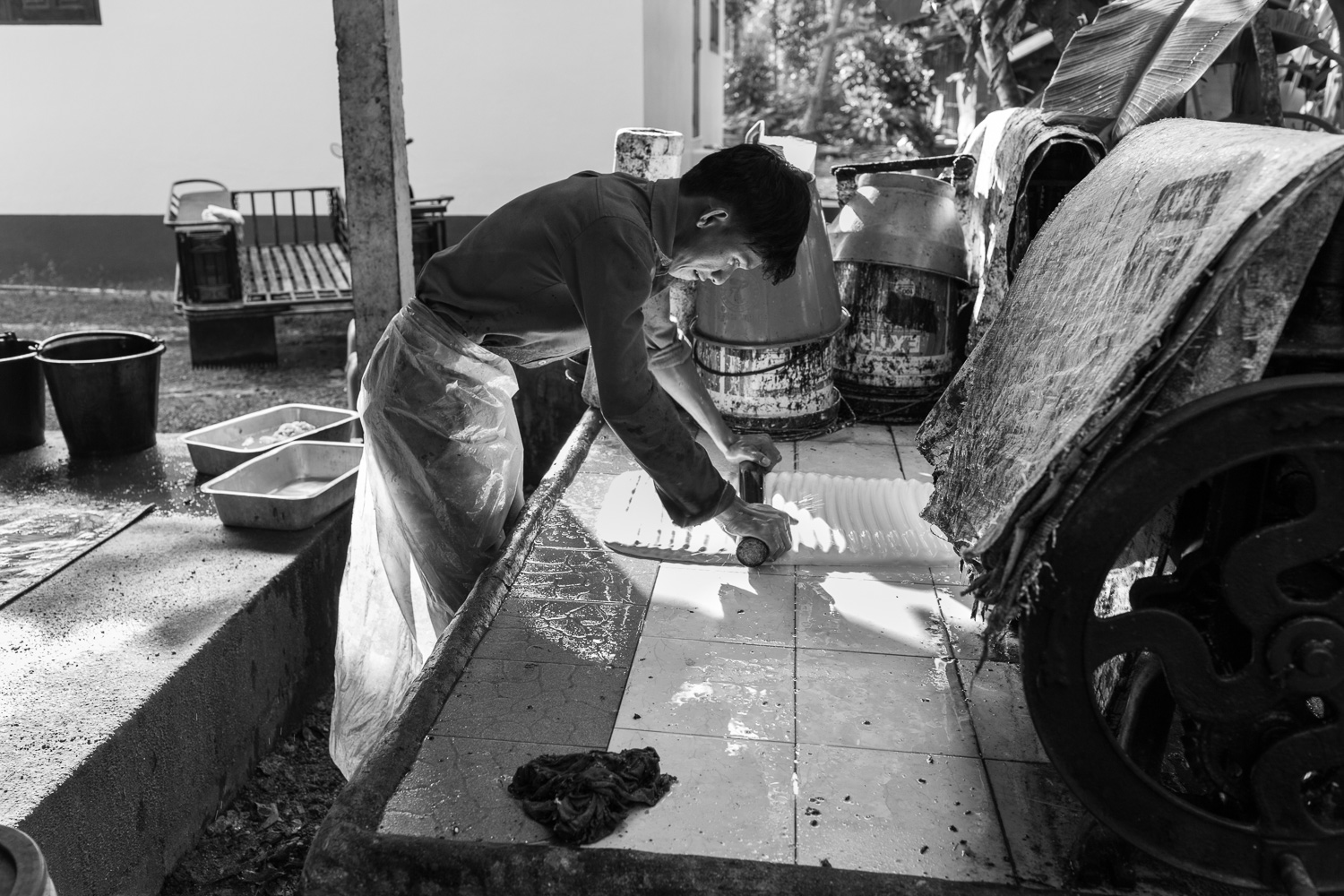 06_20150726_MG_5162.jpg