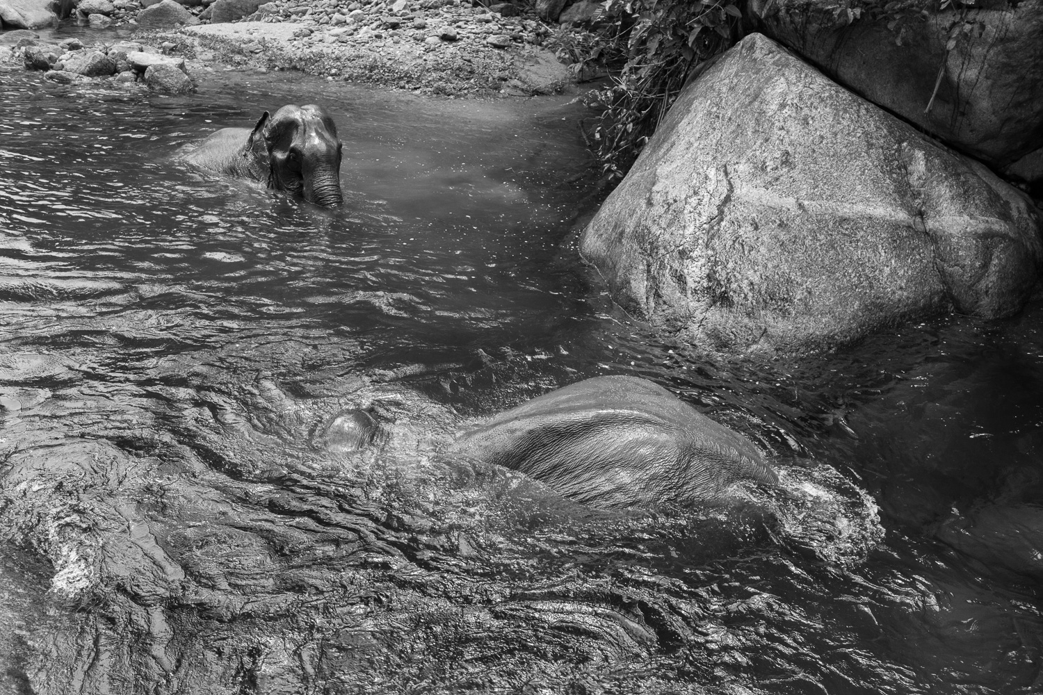 32_20150705_MG_2773.jpg
