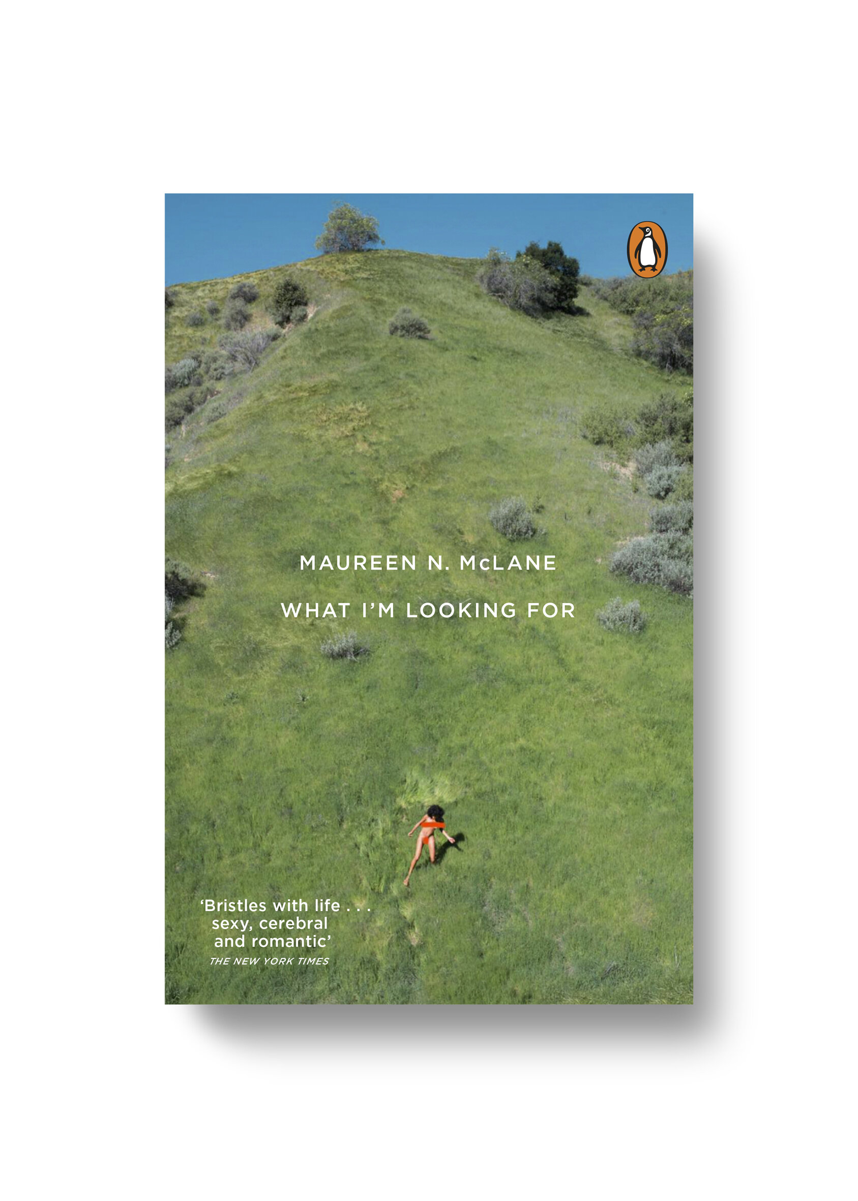  What I’m Looking For Maureen N. McLane – Cover Photograph: Jimmy Marble Design: Jim Stoddart 
