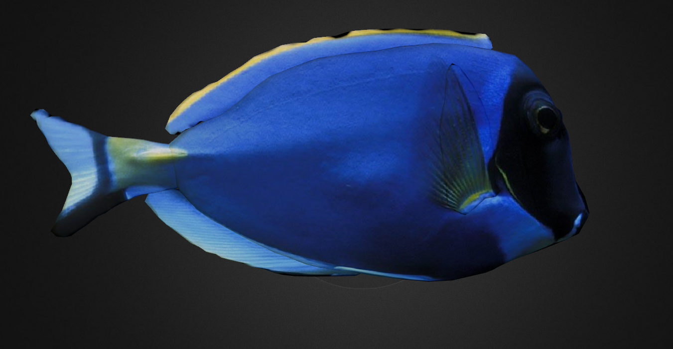 3D Fish