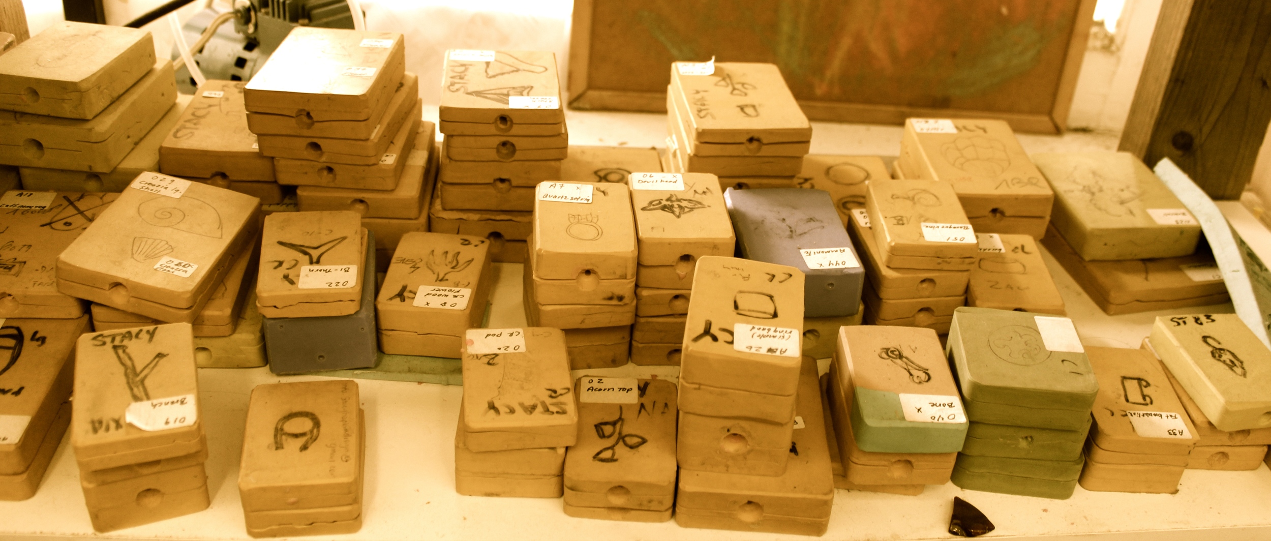 Molds casted from LaSpecola Natural History Museum in Florence Italy.