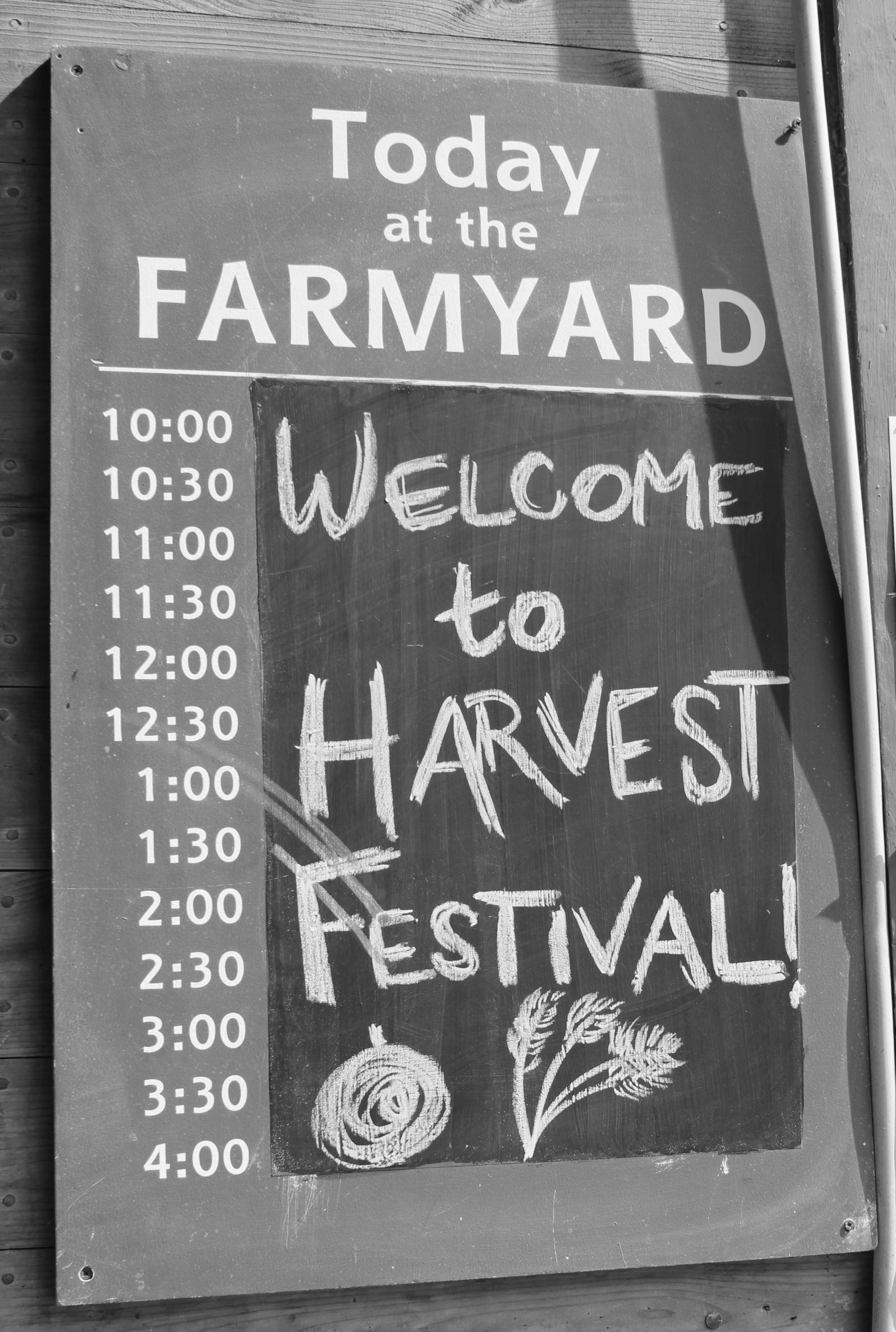 All day harvest celebrations!
