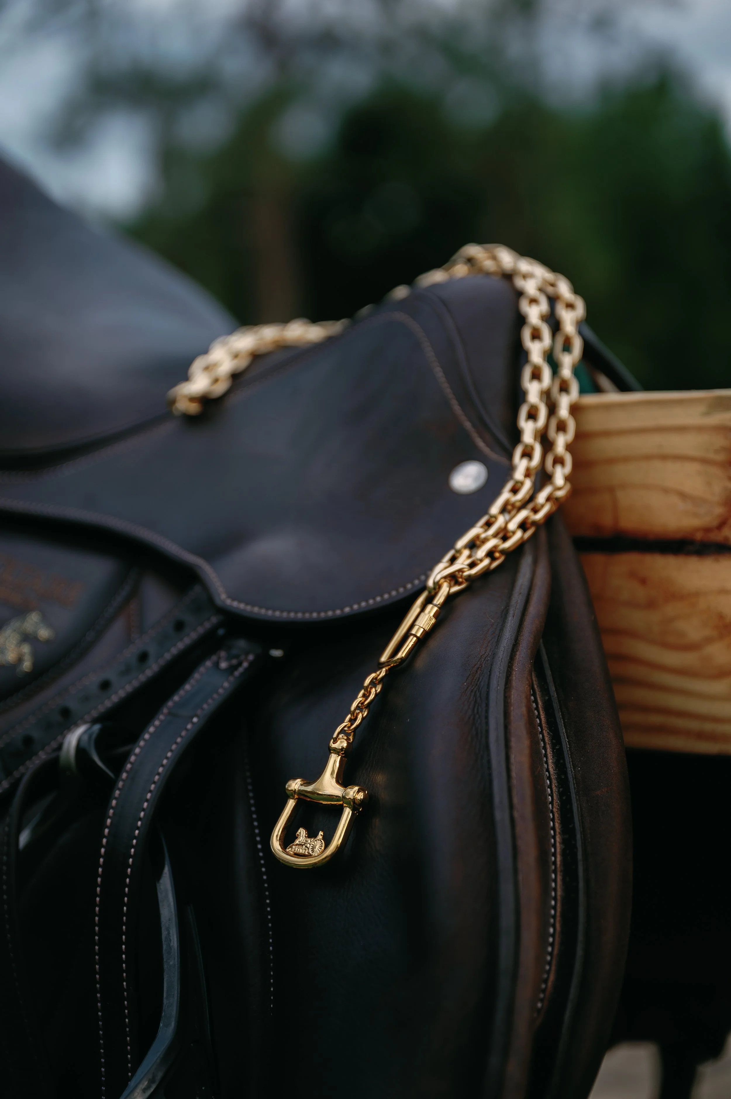 celine on saddle.jpg