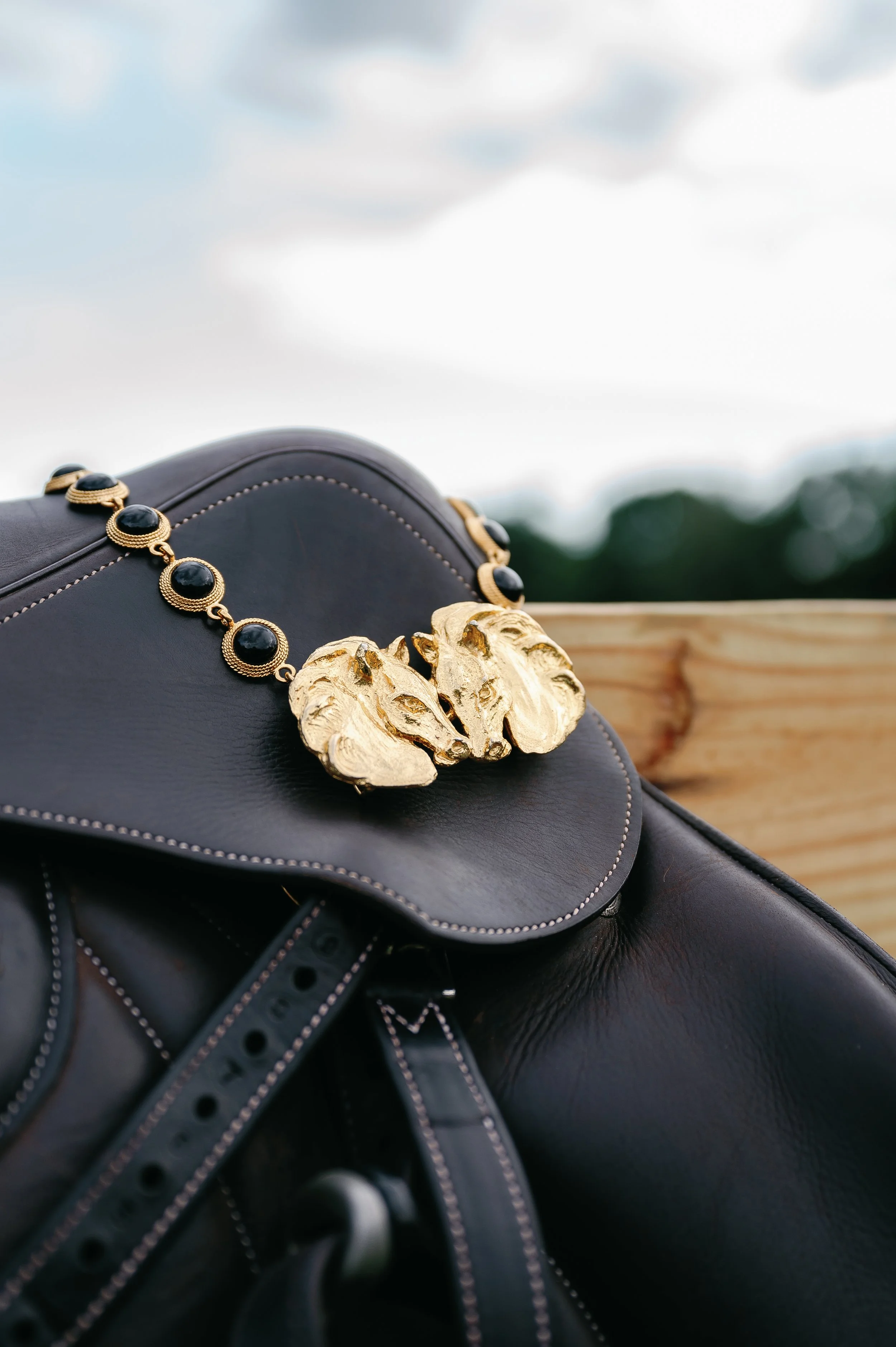 HORSEHEADS ON SADDLE.jpg