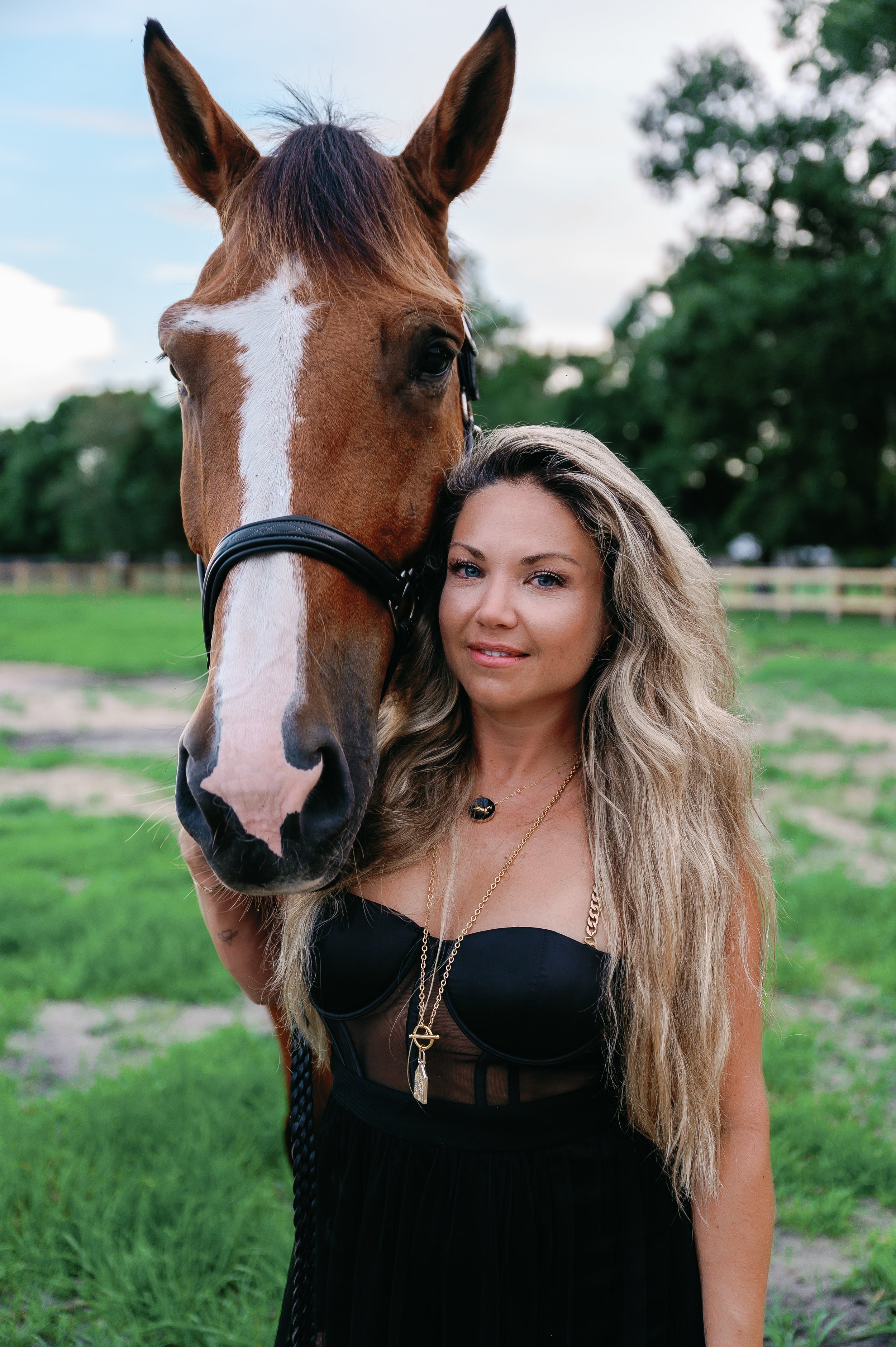 layered gold guild 2.jpg