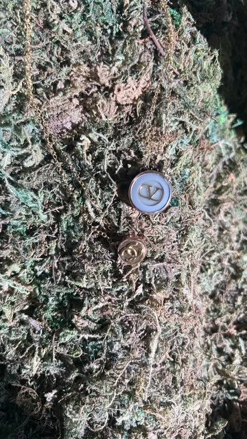 valentino and CC.JPG