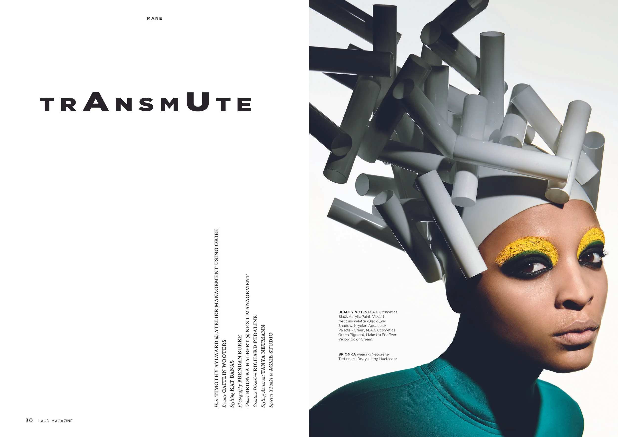 LAUD Magazine - Issue #10 TRANSMUTE DPS Pages.jpg