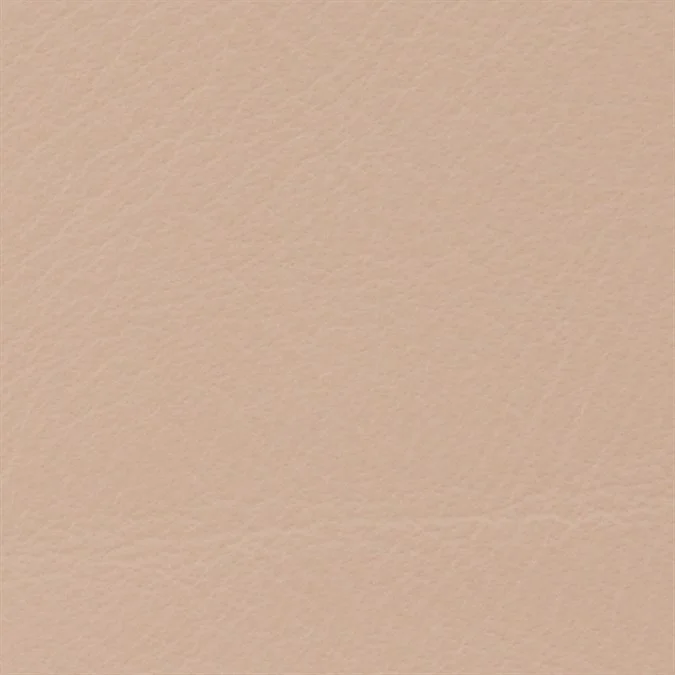 BLUSH.jpg
