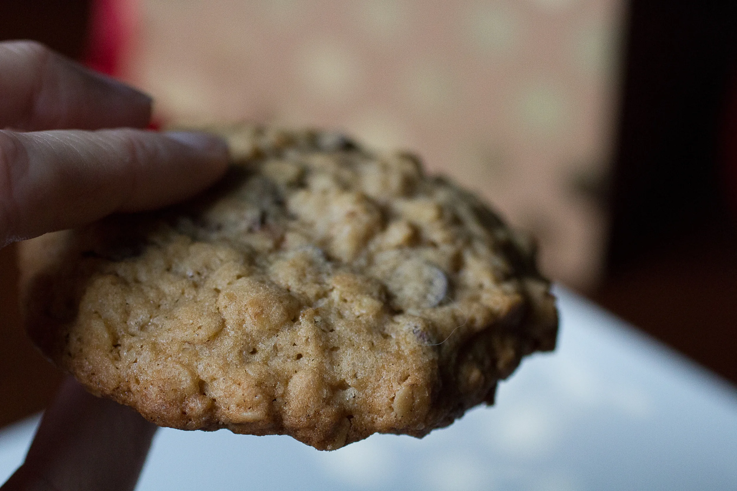 chocolate chip oatmeal cookie (still testing...)