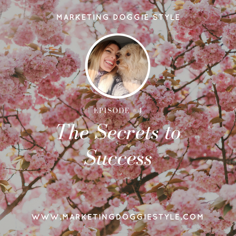 The Secrets to Success