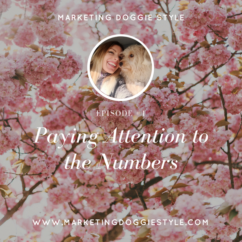 paying-attention-to-the-numbers.jpg