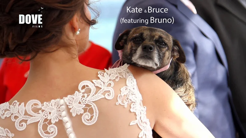 Kate & Bruce - Wedding Highlight Reel, St. Ives Cornwall