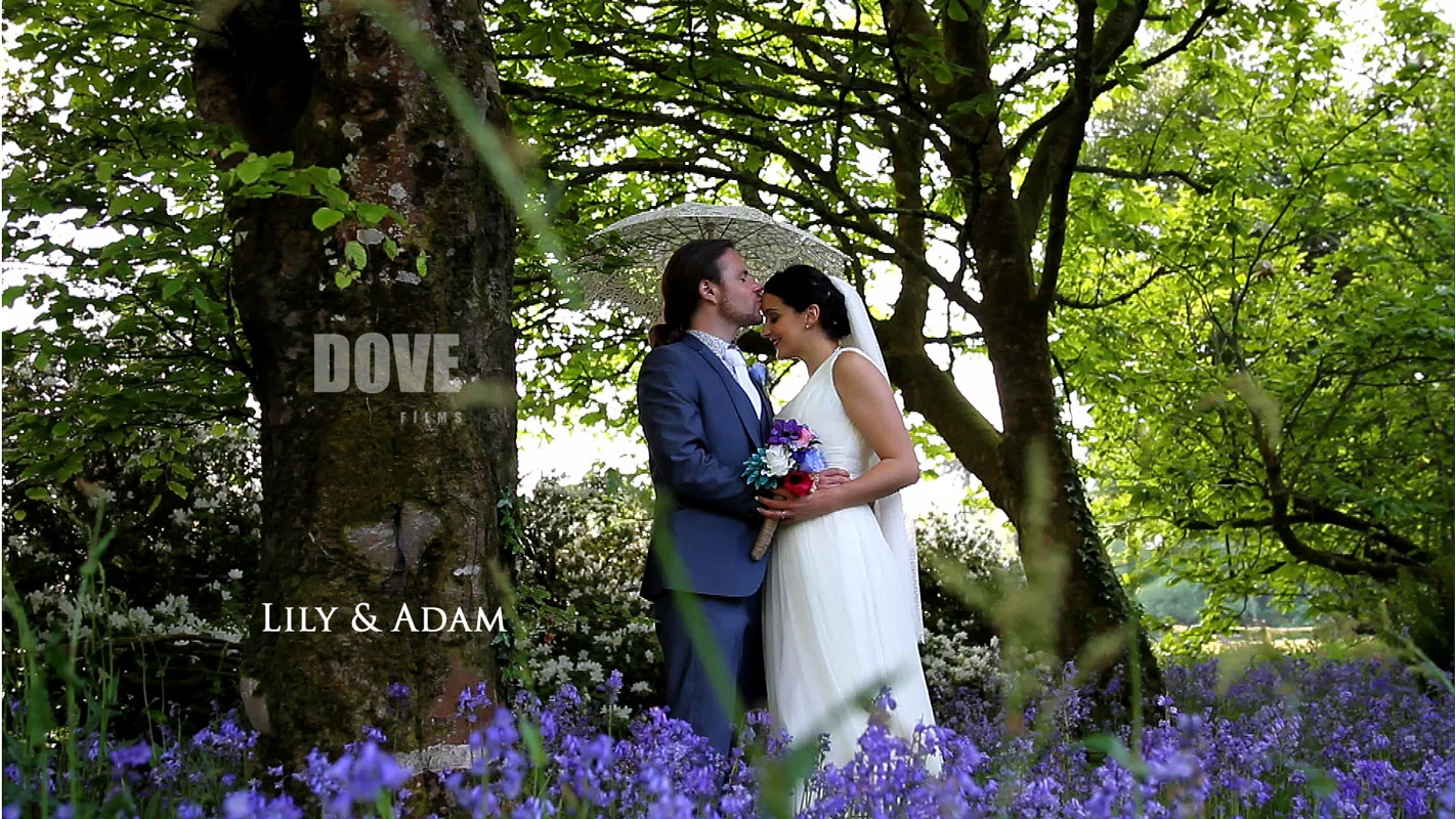 Lily + Adam Wedding Highlight Reel