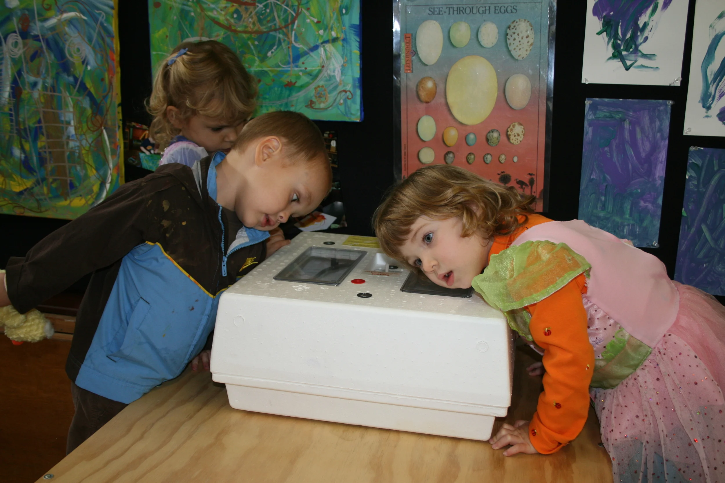 Routines, Consistency, Choices and Natural Consequences