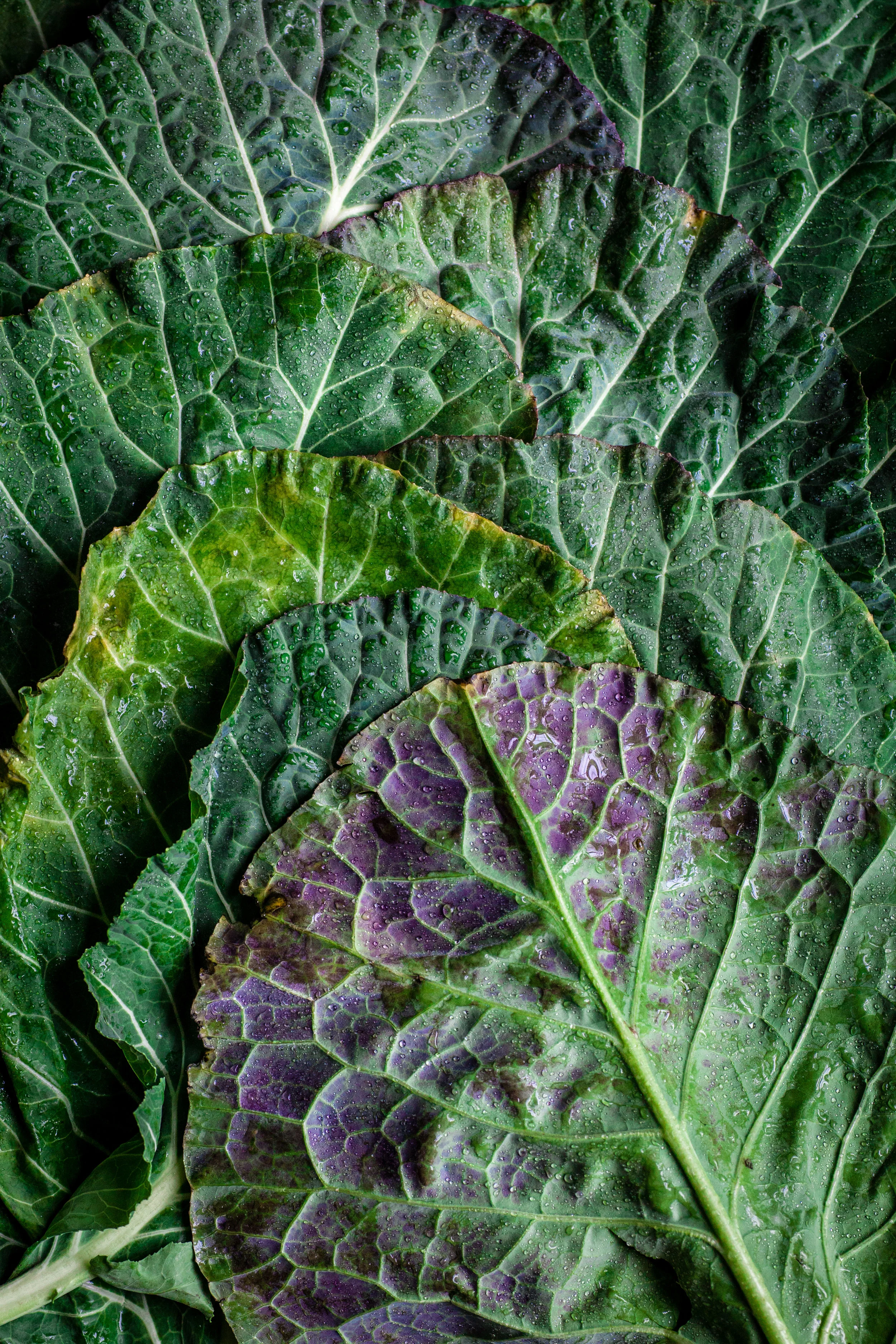 Smoked Turkey Leg with Sauteed Kale (Paleo Recipe)