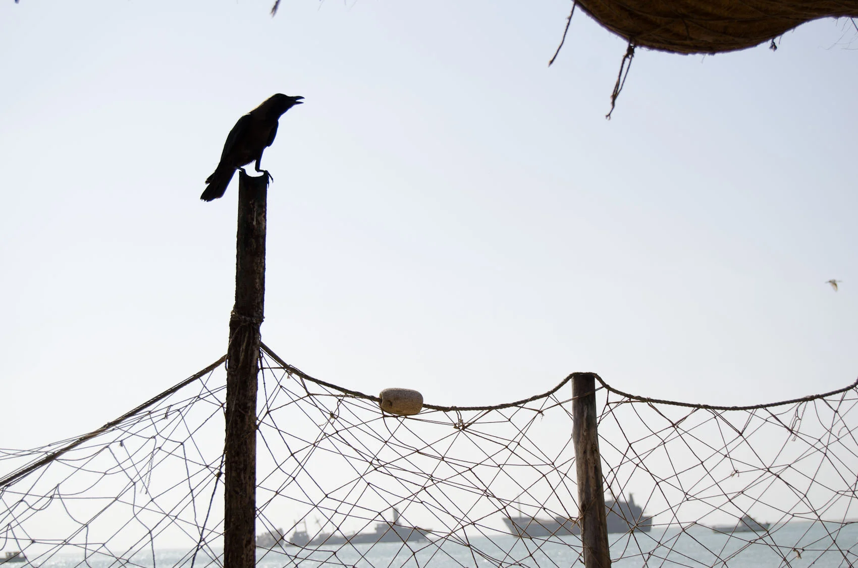 Somaliland_Berbera_003.jpg