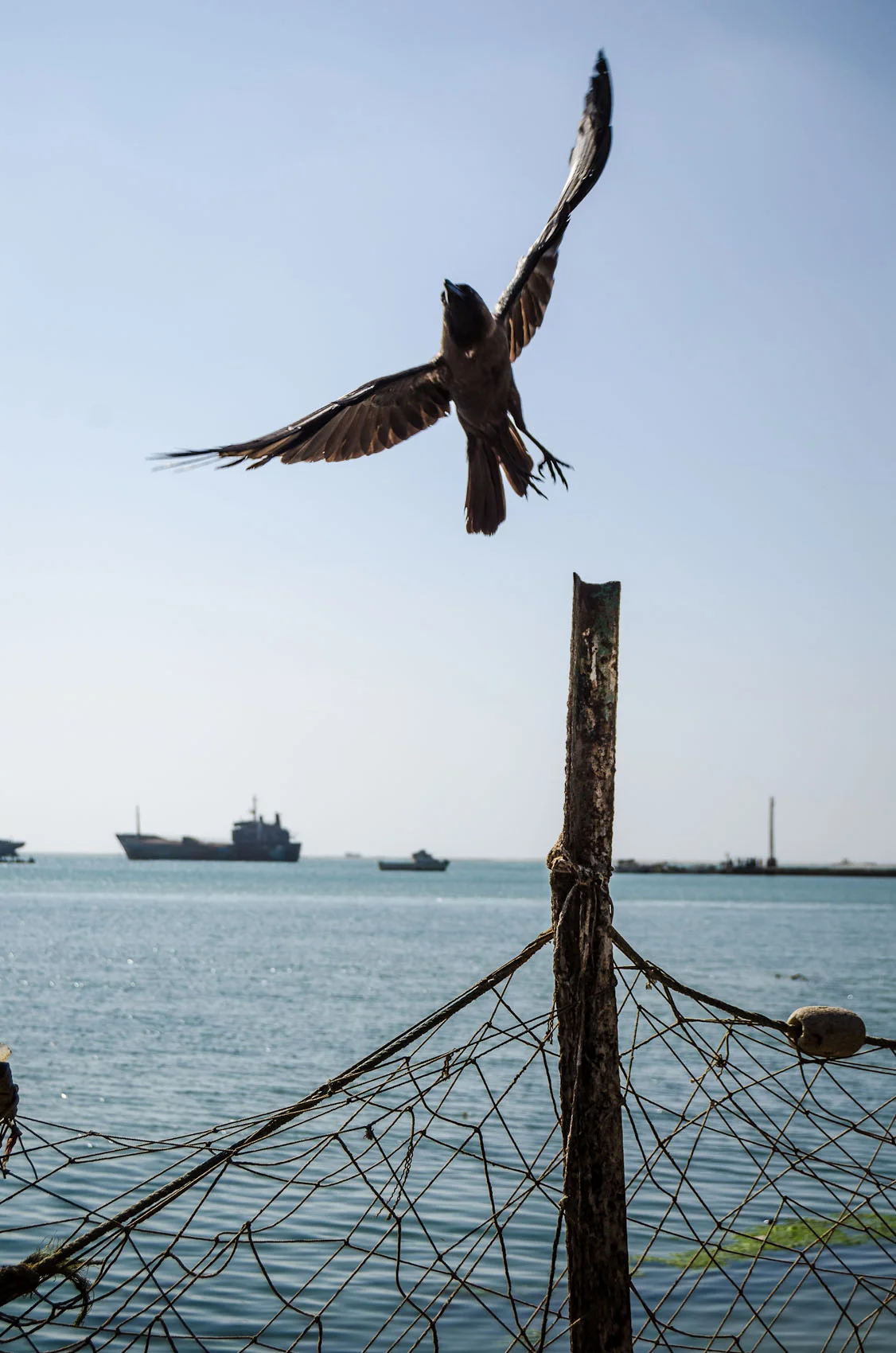 Somaliland_Berbera_005.jpg