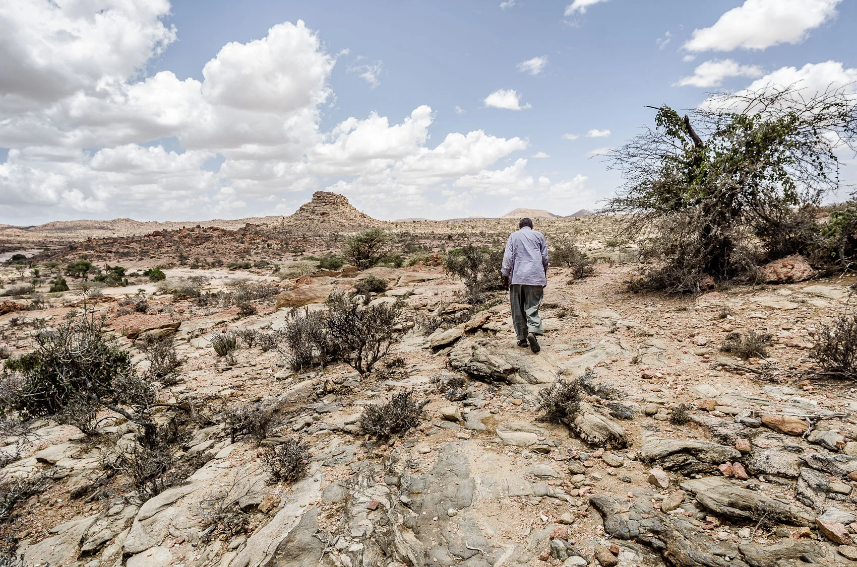 Somaliland_Laas Geel_002.jpg