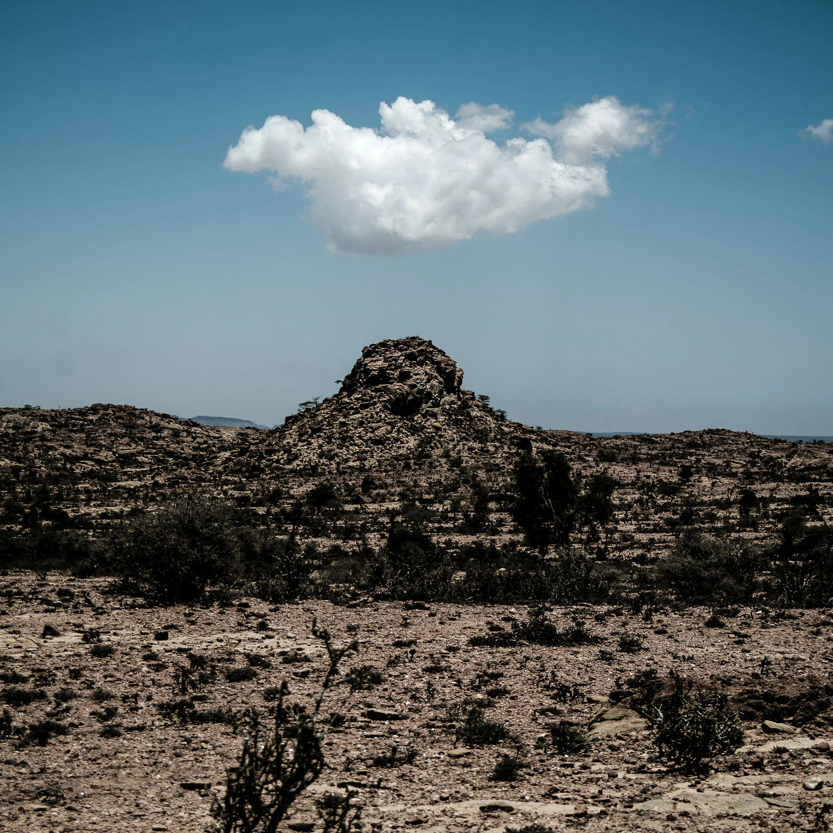 Somaliland_Laas Geel_013.jpg