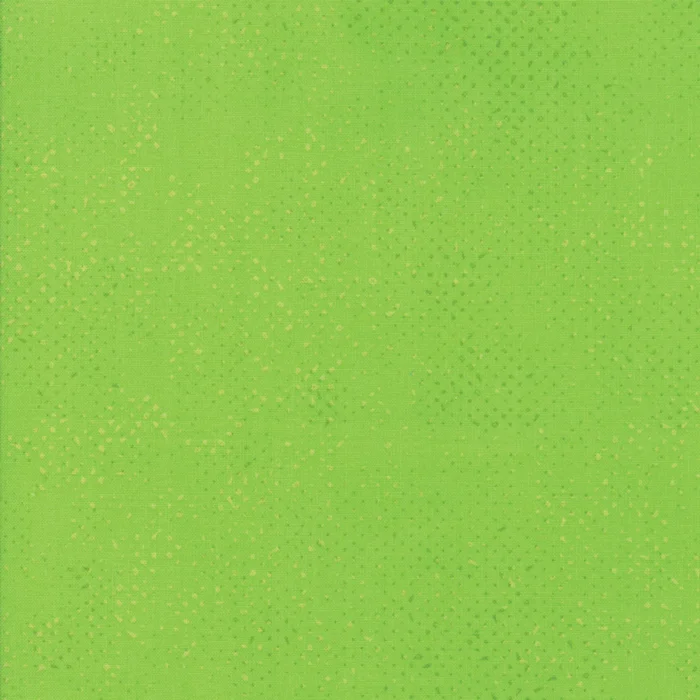 1660-48.jpg