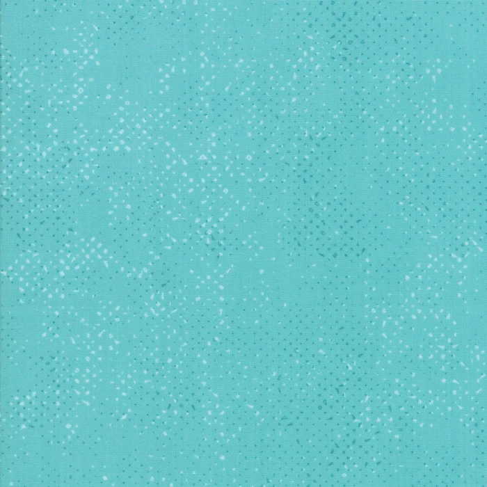 1660-79.jpg