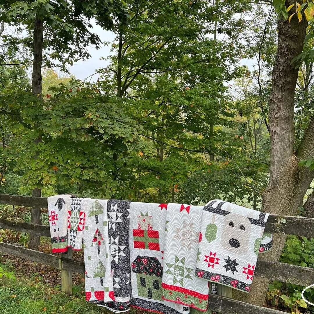 Hello! All of Corey Yoder's @corianderquilts #starberryfabric quilts are displayed here on Corey's fence in Ohio (loveliness!) Swipe to see them all. Be sure to take a look at her YouTube video for a trunk show of these quilts. ❄️ 🎄 ⭐️ 
Thanks to @m