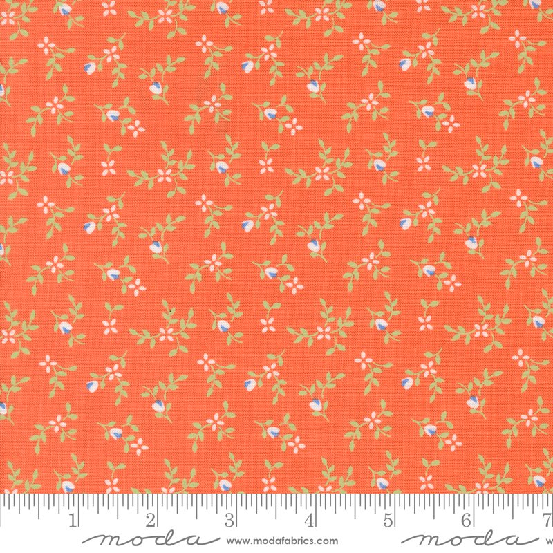 29192-34.jpg