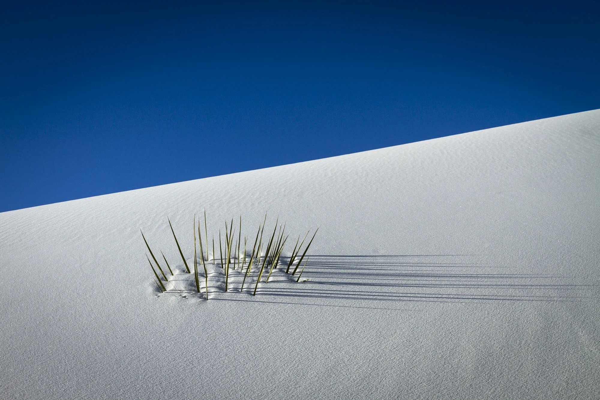 White Sands National Monument New Mexico