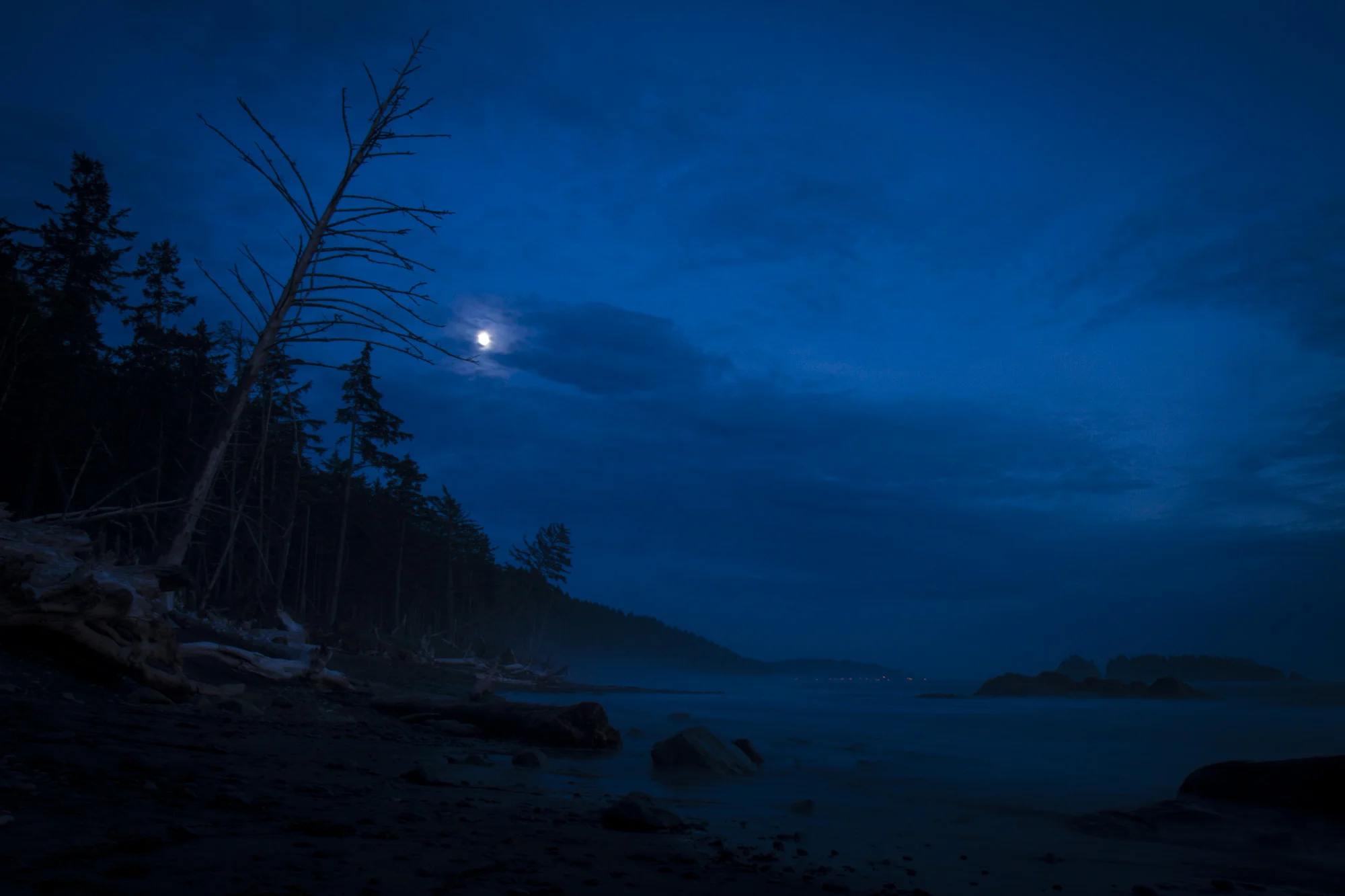 Olympic National Park Washington