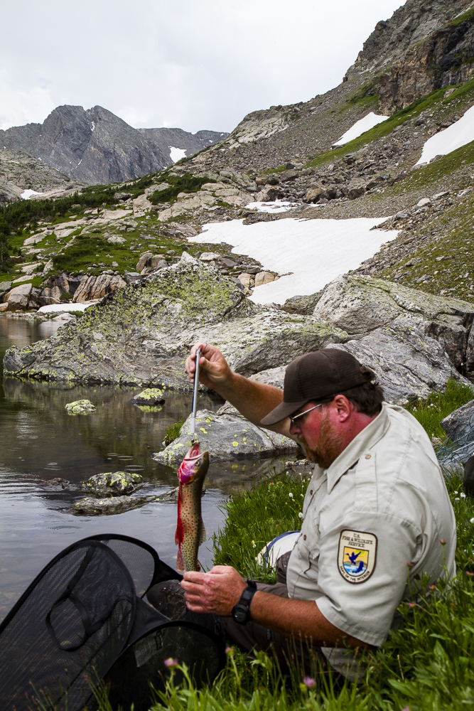  Chris Kennedy of the US Fish and Wildlife Service conducts field research. 