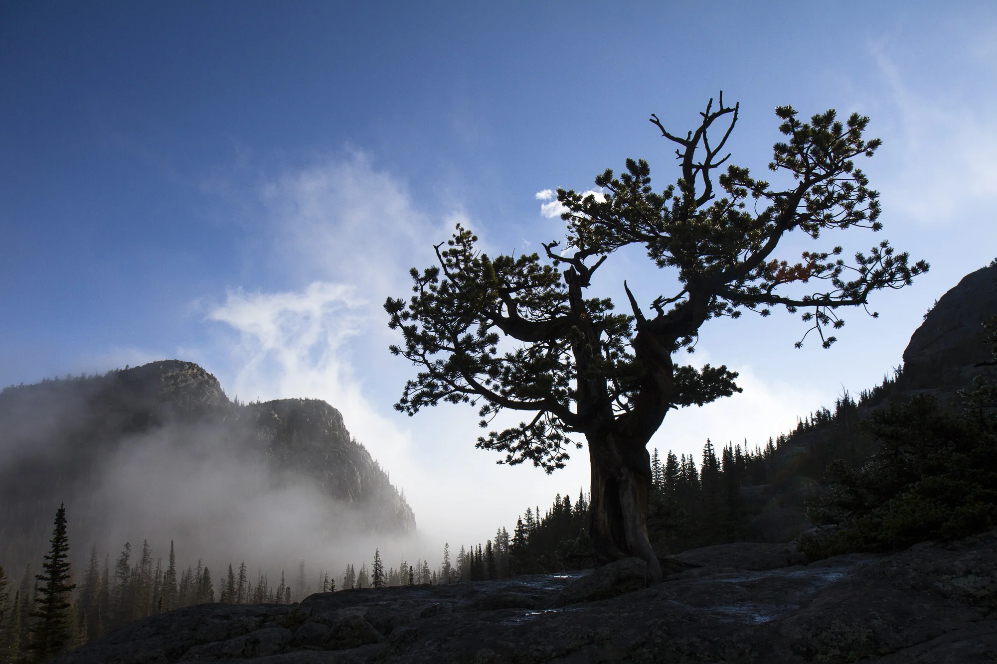 Clearing fog above Glacier Gorge Junction.