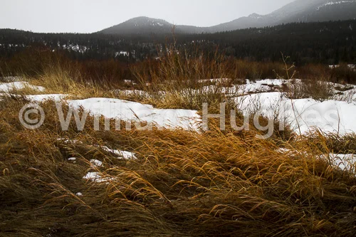 20170211-RMNP-022