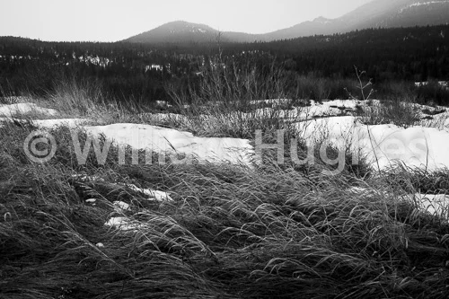 20170211-RMNP-022-2