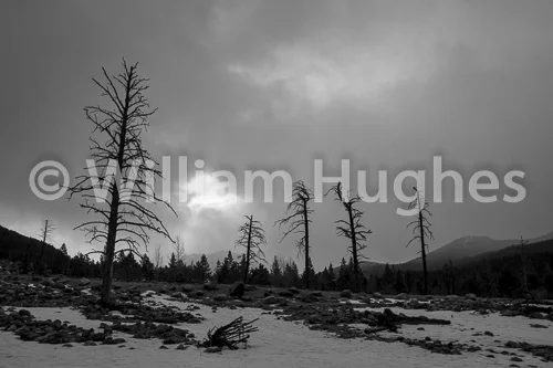 20170211-RMNP-028