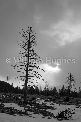 20170211-RMNP-029
