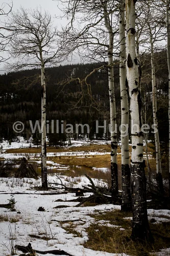 20170211-RMNP-820