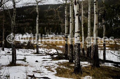 20170211-RMNP-819