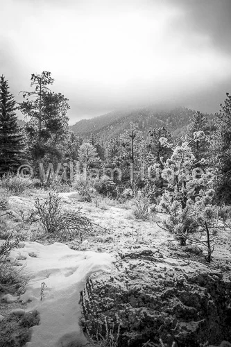 20170203-Glen Haven Frost-002