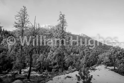 20170203-Glen Haven Frost-026