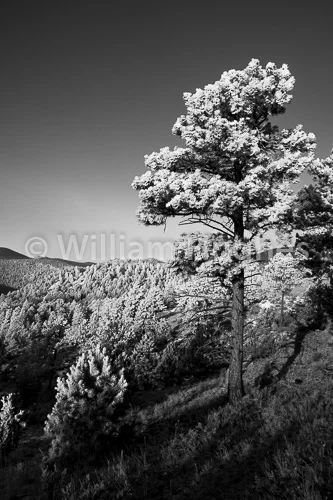 20170203-Glen Haven Frost-056