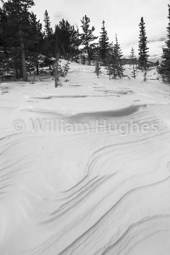 20170201-Mummy Range Sunrise-2046